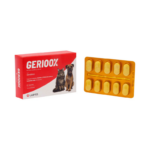 Labyes Gerioox Caja de 30 Tabletas