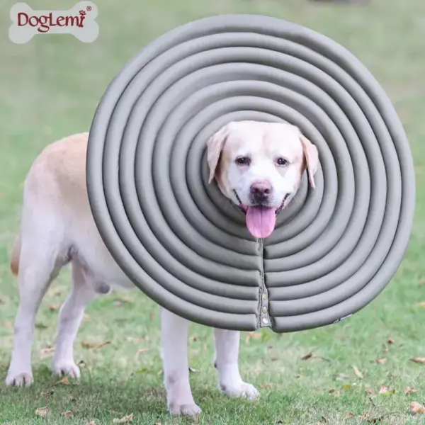 Doglemi Collar Isabelino de Espuma