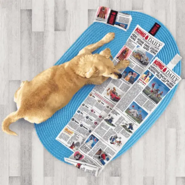 Kong Juguete Daily Newspaper XL