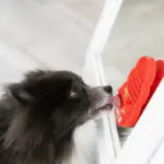 Kong Licks Lickmat
