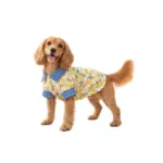 Little Tails Camisa Lemons - Imagen 3