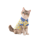 Little Tails Lemon Gatito